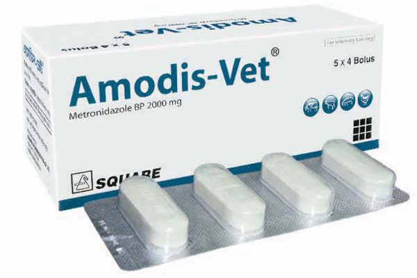 Amodis-Vet<sup>®</sup> Bolus