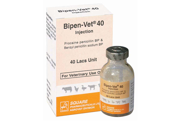 Bipen-Vet<sup>®</sup> Injection