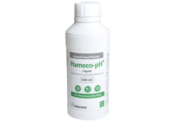 Hameco-pH<sup>®</sup>