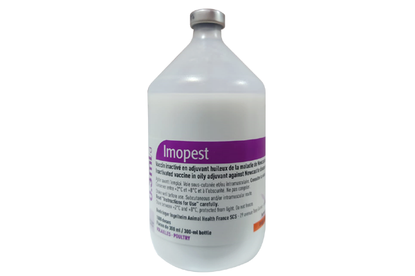 Imopest