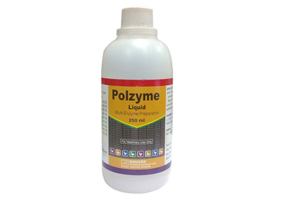 Polzyme<sup>®</sup> Liquid